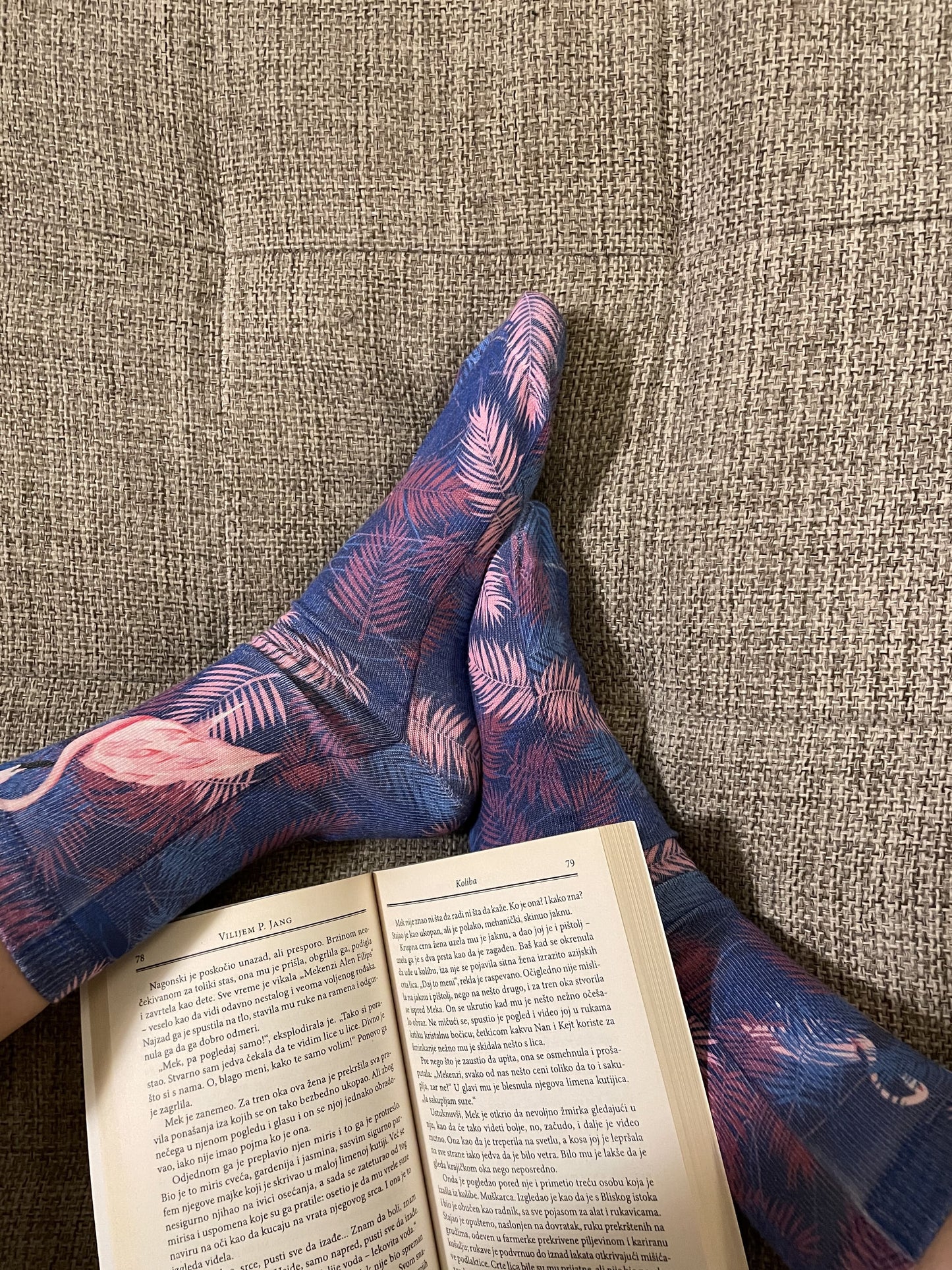 Flamingo